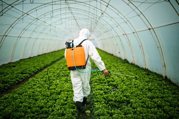 Best Affordable Pest Control Services  in Rolling Hills Estates, CA