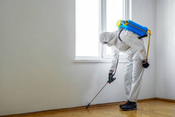 Best Best Pest Control Companies  in Rolling Hills Estates, CA