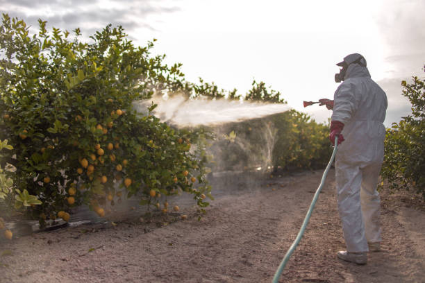 Best Commercial Pest Control Services  in Rolling Hills Estates, CA