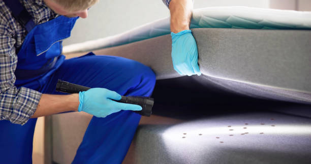Best Rat Extermination Near Me  in Rolling Hills Estates, CA