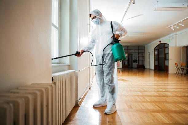 Best Flea Control Services  in Rolling Hills Estates, CA