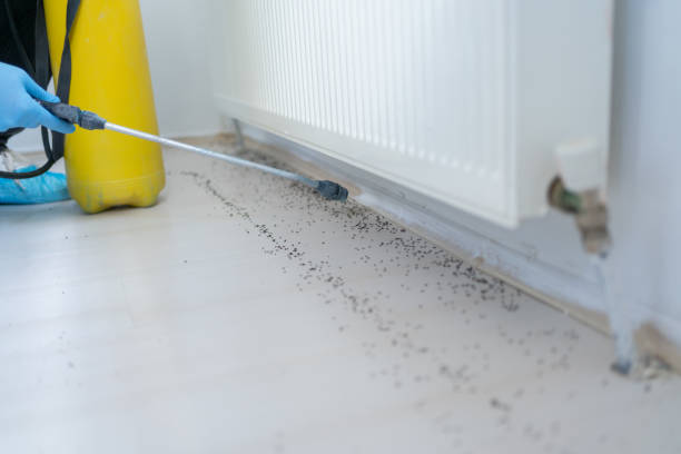 Pest Control Cost in Rolling Hills Estates, CA